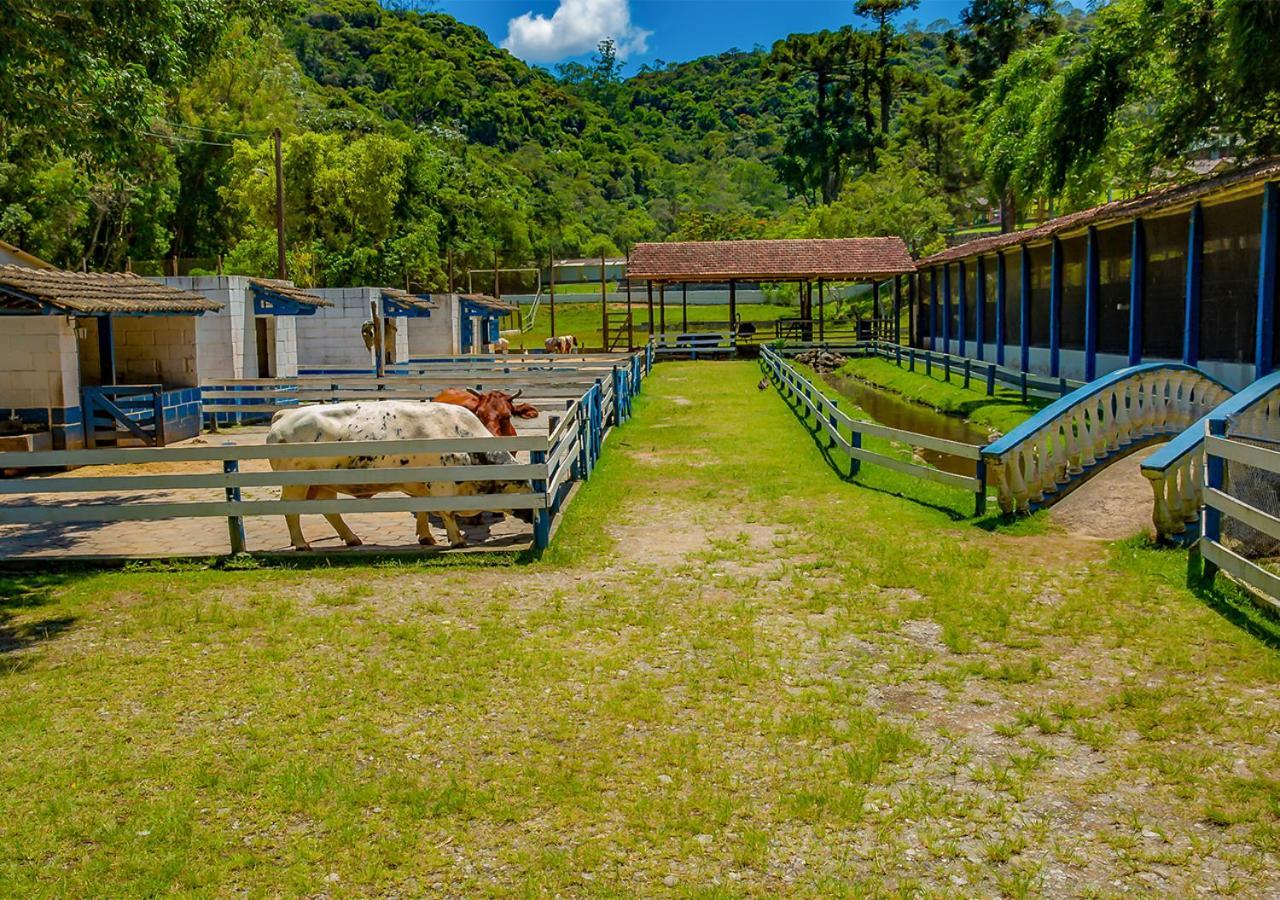 Vale Encantado - Eco Park & Hotel Biritiba-Mirim